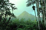 Escaping the SQL Jungle
