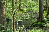 The Scent Landscape of Karosta