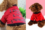 Where to Buy Stylish Dog Dresses Online at the Best Price: A Guide by Petsary