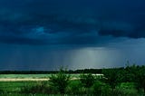 an evening landscape of a dark blue sky and vegetations