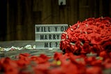 Will. You. Marry. — Wait, What?