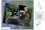 Diwata-2 images give clues on extent of Taal ashfall