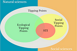 Social Tipping Interventions: From Niches to Norms