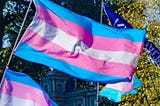 Why do I have to suffer to be a “good trans person”? — The Hofstra Chronicle