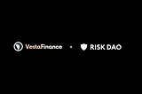 Vesta Finance: System Parameterization Risk Analysis