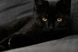 Top 10 Popular Superstitions Around The World