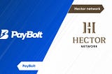 PayBolt X Hector Network