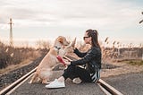 Dog high-fiving an owner