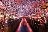 How to Evaluate Your Software Engineering Offer in Japan