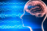 Relationship between resting state EEG and Working Memory Performance in real-world environments.