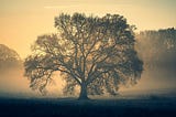 When Life Whispers Notes Into Your Mind (And You Find Them Again After So Many Years)