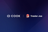 Learn how Trader Joe is integrated into the Cook DeFi Index platform