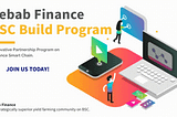 Kebab Finance BSC Build Program
