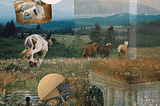 A collage of dreams — green fields with 4 horses racing throughout it, a Tasmanian sunset, and woman reading to a water view