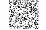 Conway’s Game of Life