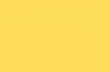 “Javascript” as a Newbie view