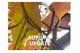 Healing, Repair and Self-Determination: An Autumn Update from Decolonizing Wealth Project