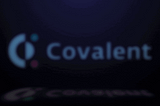 Overview of Covalent API features: Solving the Puzzle Paladin -the part of Dungeons & Data — 1INCH…