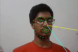Real-Time Head Pose Estimation in Python