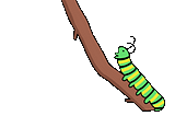 A gif of a caterpillar metamorphosing to a butterfly