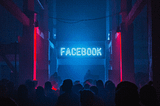 A neon sign flickers intermittently the words Facebook and Government.