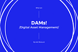Why DAMs [Digital Asset Management] are Changing the Branding Game
