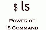 What happens when you types ls -l in the shell…