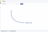 Wowizer Data Access Auditor Demo