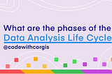 What are the phases of the Data Analysis Life Cycle?
