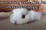 Gif of bunny being pet with text saying ‘Me receiving validation from internet strangers’