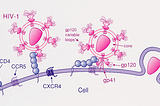 HIV Resistance, CRISPR Babies, and a Potential COVID-19 Treatment: The Story of the Infamous…