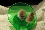 The hamster wheel of marketing
