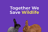 Together We Save Wildlife