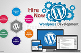 Wordpress web development company