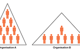Organisation Structure: Flat or not…