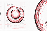 The story behind our record certification design