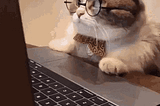 How To Open a New Kitty Tab in Current Working Directory