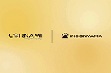Ingonyama and Cornami Announce Strategic Collaboration to Accelerate High-Speed Cryptography