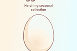 What is Eggverse NFT and why to bother?