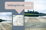 Walking the Labyrinth with Style Photo | Bird walking an urban labyrinth