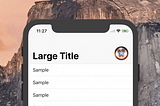 How to build resizing Image in Navigation Bar with Large Title