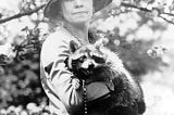 Was there really a presidential raccoon?