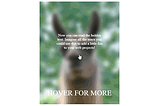 Simple blur hover effect with just HTML and CSS