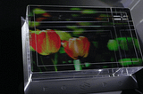 Extracting Depth Map Photos for the Looking Glass