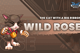 Introducing Wild Rose: The Cat with a Big Ribbon