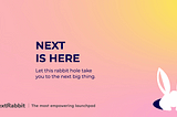 NextRabbit is here…