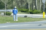 A Masshole’s Tale: The Werewolf Of Pelham