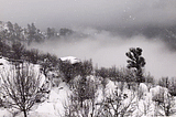 The Snowfall at Sankri & the surreal serenity