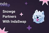 IndaSwap partners with SnowgeCoin to make DeFi based charity donations accessible for every bank…