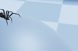 Insect Wall Crawling in Unity3D